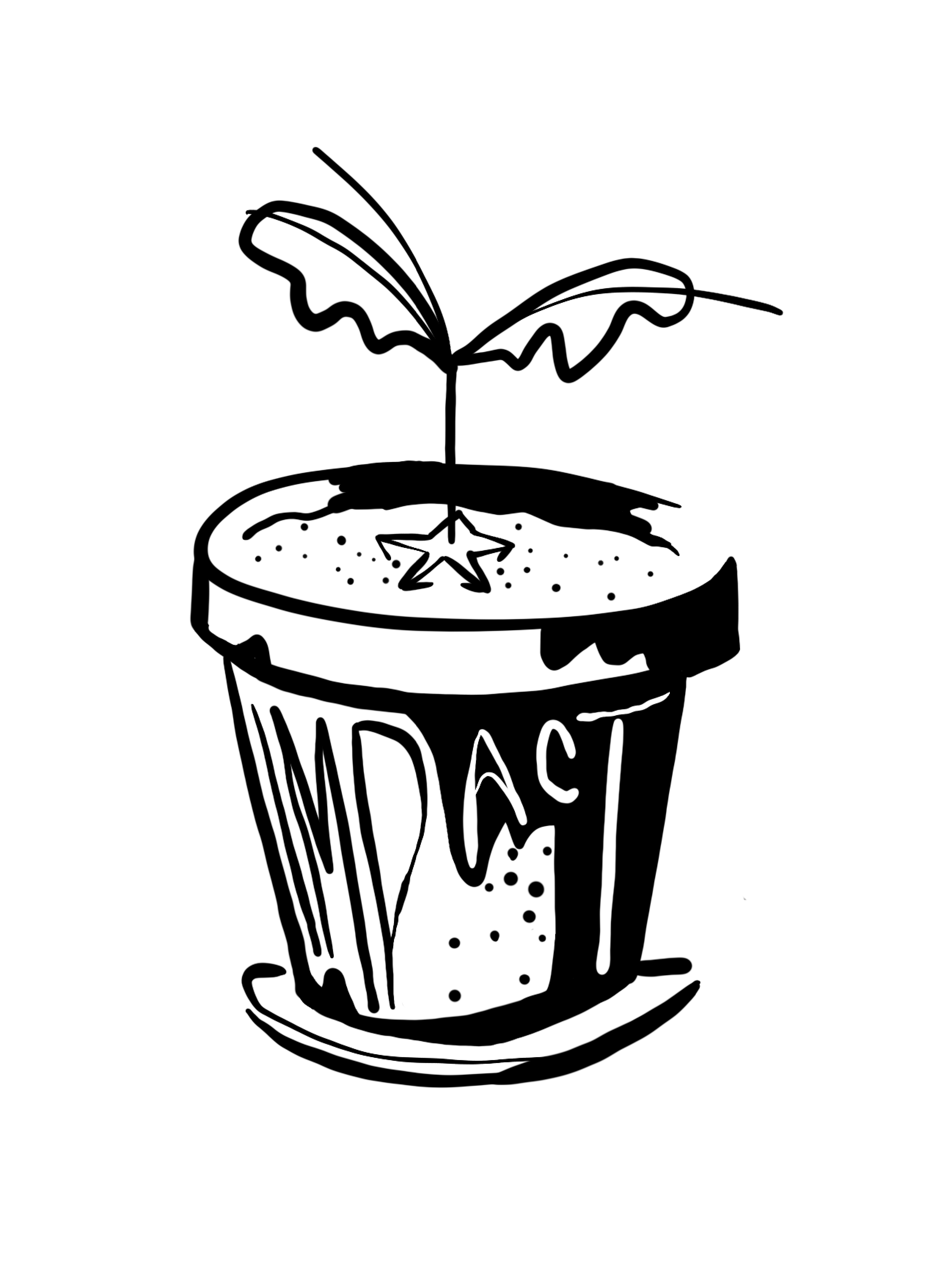 Process 5